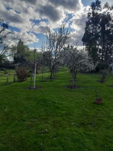 Venta de Hermosa Parcela con Casa Colonial en Talc