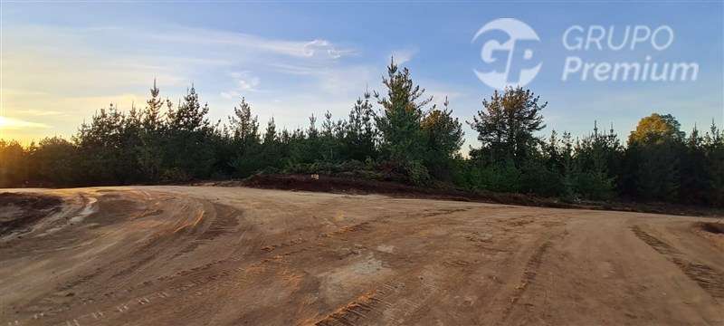Parcela en venta en Pichilemu - Imagen 2