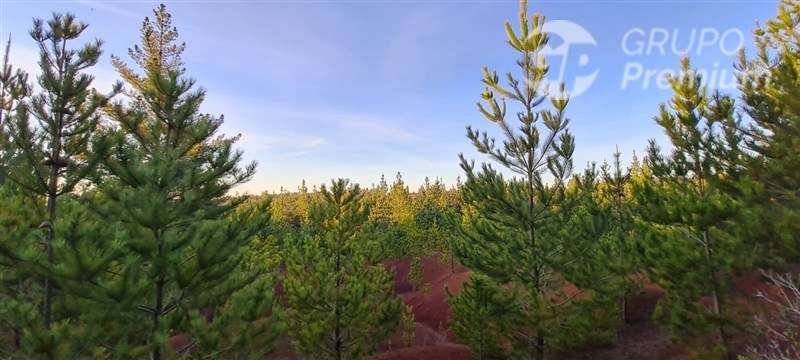 Parcela en venta en Pichilemu - Imagen 7