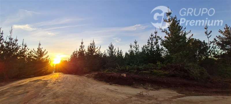 Parcela en venta en Pichilemu - Imagen 6