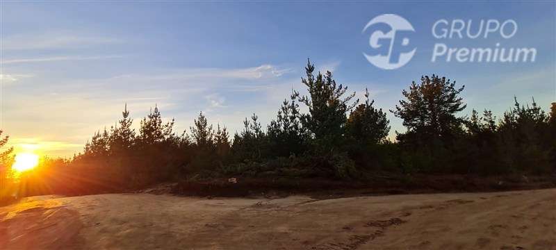 Parcela en venta en Pichilemu - Imagen 4