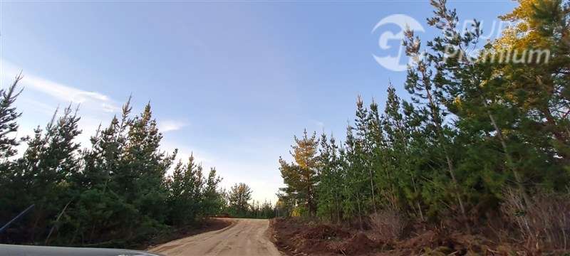 Parcela en venta en Pichilemu - Imagen 5
