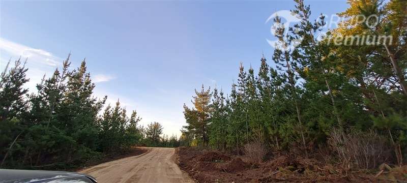 Parcela en venta en Pichilemu - Imagen 3