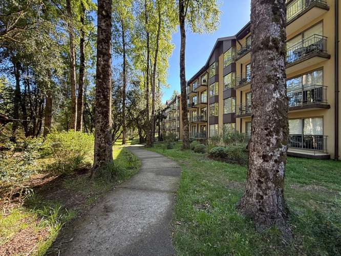Departamento en ARRIENDO ANUAL PUCON - Imagen 8