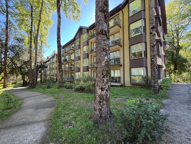 Departamento en ARRIENDO ANUAL PUCON - Imagen 9