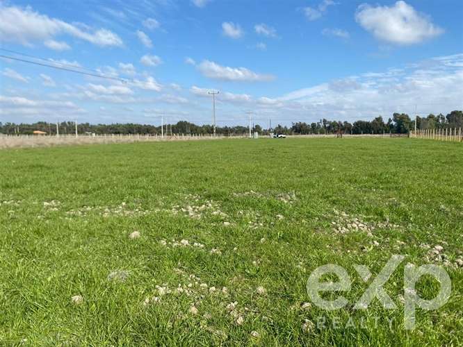 Sitio en venta en San Carlos, Punto pipeño