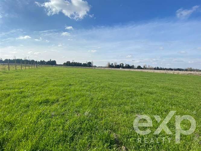 Sitio en venta en San Carlos, Punto pipeño