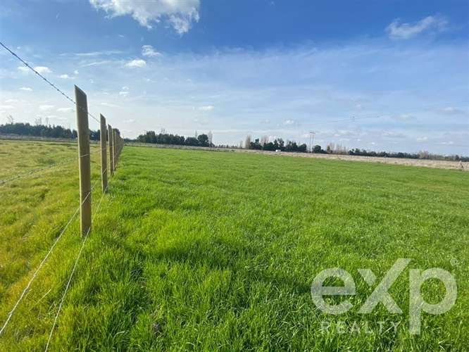 Sitio en venta en San Carlos, Punto pipeño