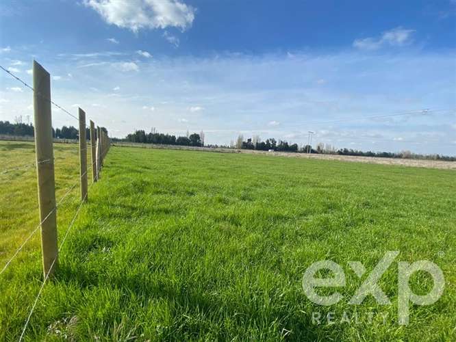 Sitio en venta en San Carlos, Punto pipeño