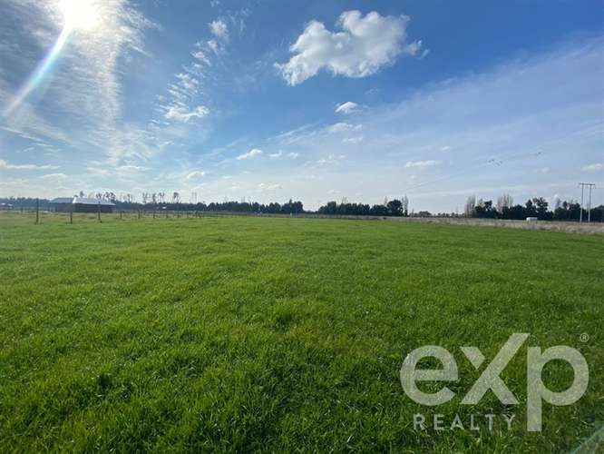 Sitio en venta en San Carlos, Punto pipeño