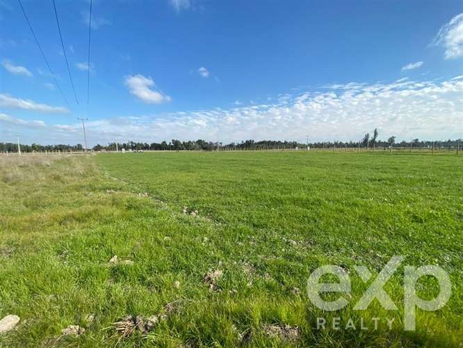 Sitio en venta en San Carlos, Punto pipeño