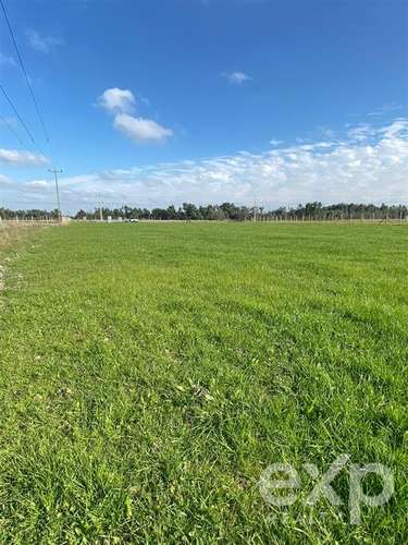 Sitio en venta en San Carlos, Punto pipeño