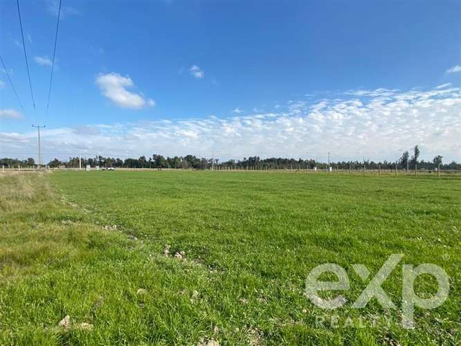 Sitio en venta en San Carlos, Punto pipeño