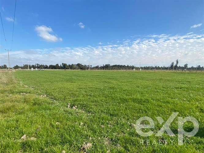 Sitio en venta en San Carlos, Punto pipeño