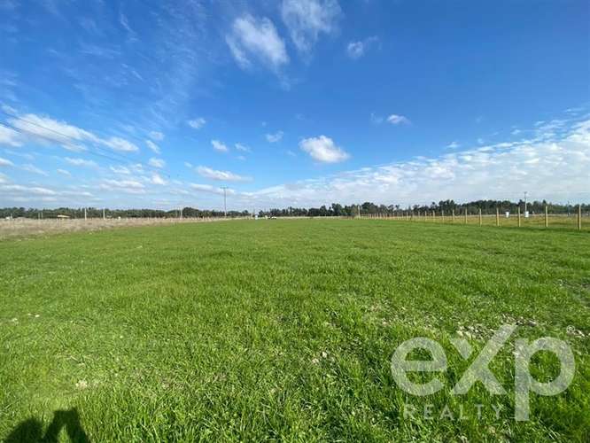 Sitio en venta en San Carlos, Punto pipeño
