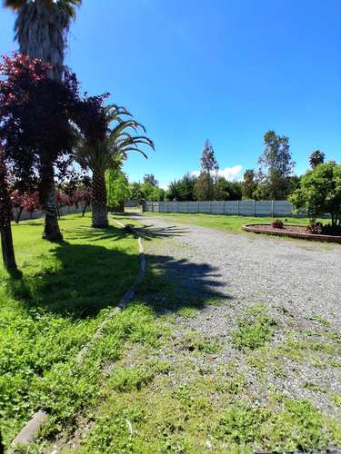 Por apuro, bajo la tasación: parcela 1,8 ha con casa, piscina y nogales, Buin