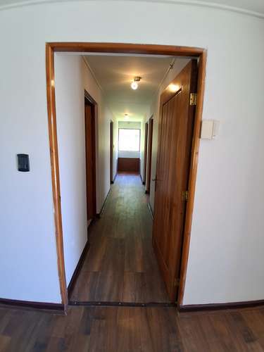 Por apuro, bajo la tasación: parcela 1,8 ha con casa, piscina y nogales, Buin