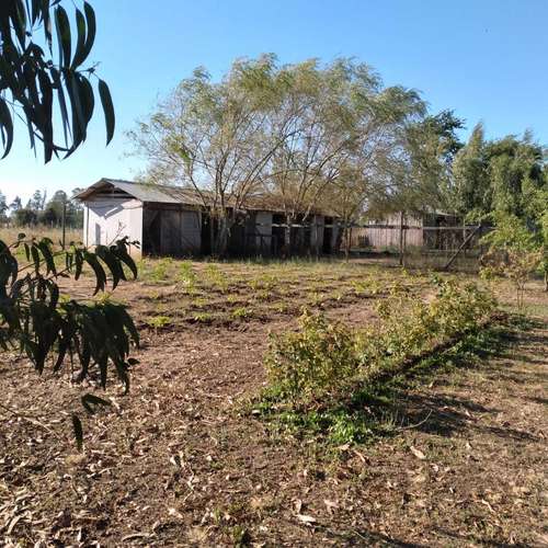 Oportunidad de Inversión en Parcela Ninquihue (186428)