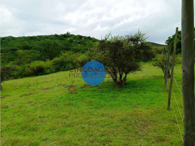 Parcela en venta sector La Mestiza, Catapilco, Zapallar