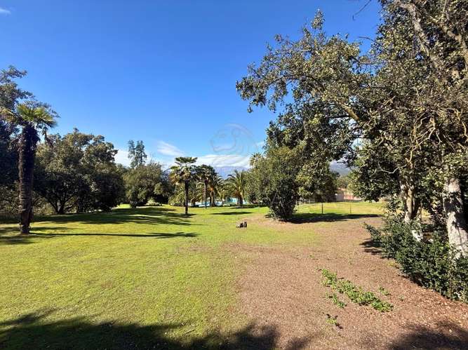 Parcela BOSQUES DE ACULEO