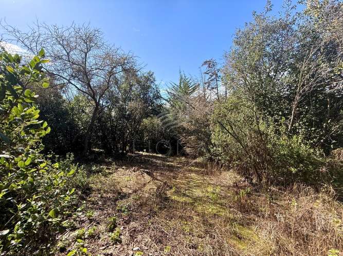 Parcela BOSQUES DE ACULEO