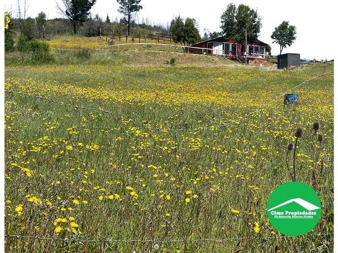 Venta Parcela en Quillón: Ideal Proyecto Turístico o Eventos - Imagen 2