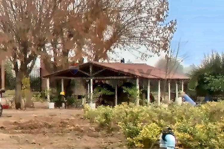 Campo fruticola de 14,4 has con casa y frigorifico