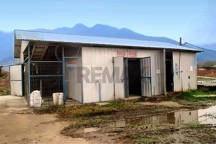 Campo fruticola de 14,4 has con casa y frigorifico