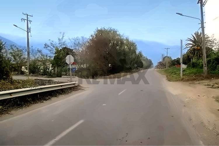 Campo fruticola de 14,4 has con casa y frigorifico