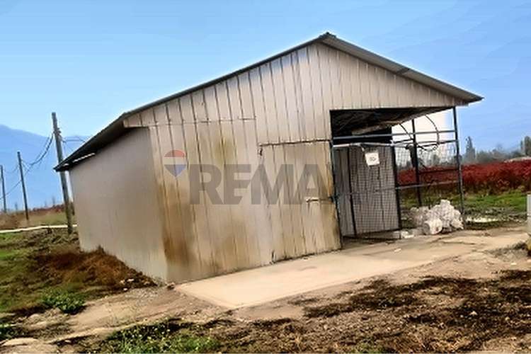 Campo fruticola de 14,4 has con casa y frigorifico