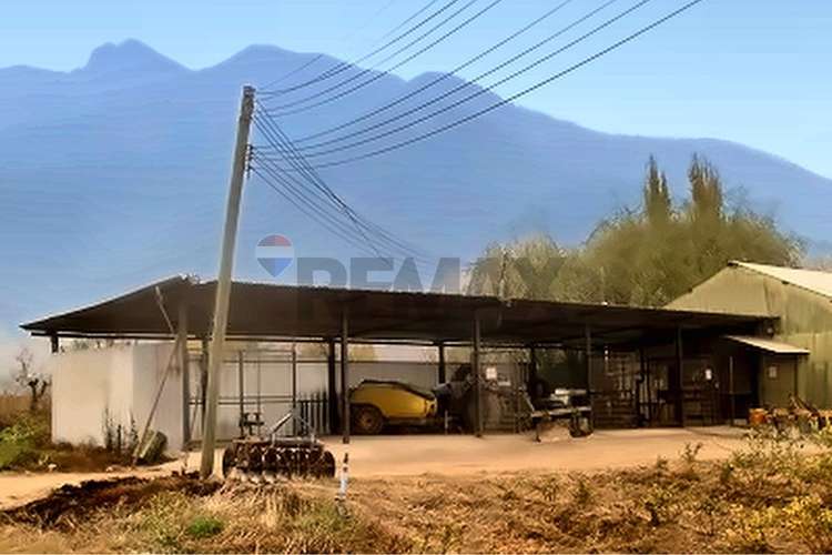 Campo fruticola de 14,4 has con casa y frigorifico