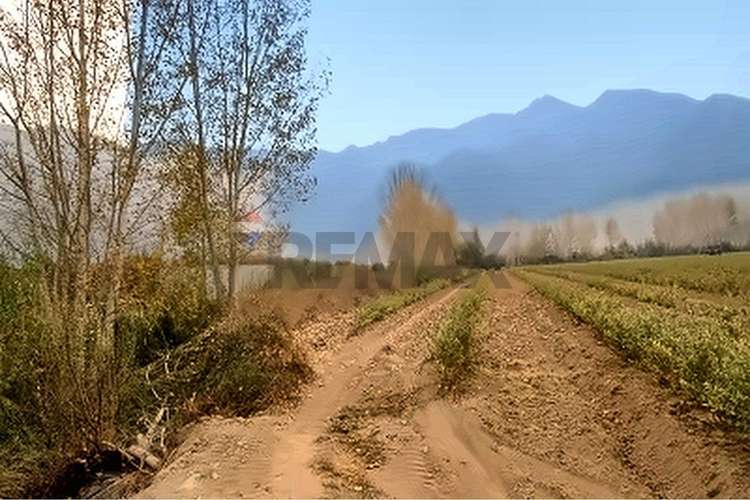 Campo fruticola de 14,4 has con casa y frigorifico