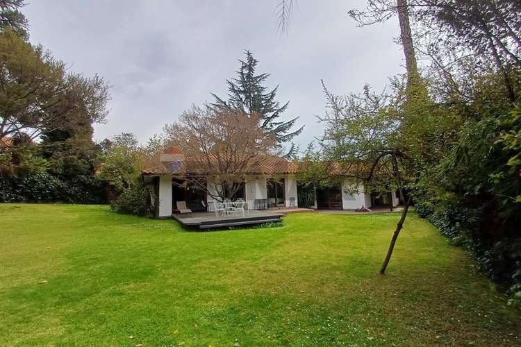 Caminno otoñal / san carlos de apoquindo - Imagen 12