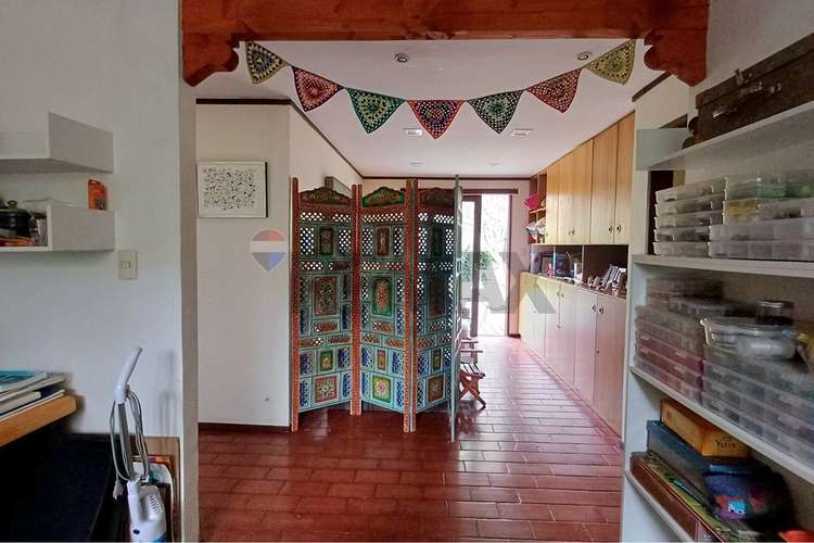 Caminno otoñal / san carlos de apoquindo - Imagen 22