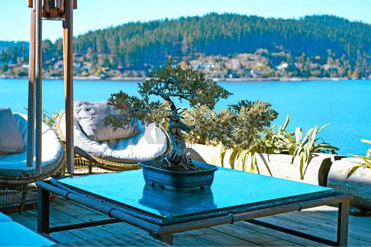 Casona de lujo en lago vichuquén . precio on fire - Imagen 12