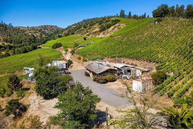 Terreno agrícola viñedos en casablanca venta