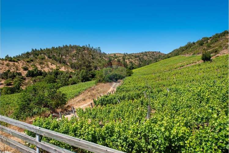 Terreno agrícola viñedos en casablanca venta