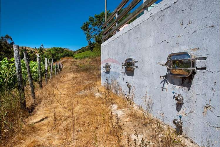 Terreno agrícola viñedos en casablanca venta