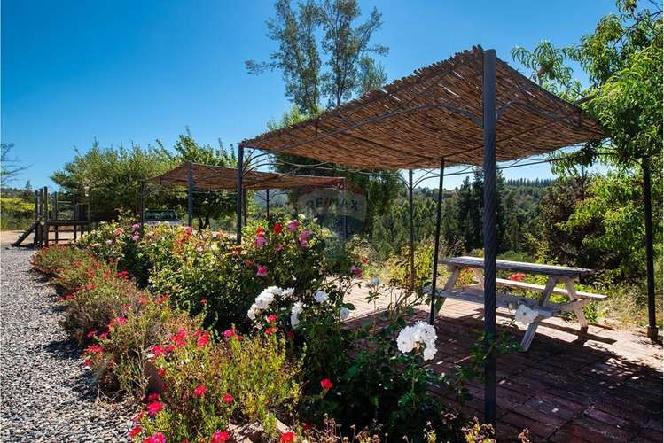 Terreno agrícola viñedos en casablanca venta