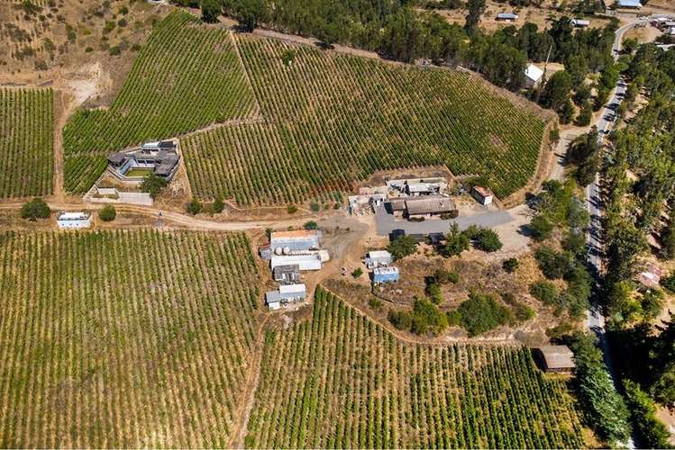 Terreno agrícola viñedos en casablanca venta