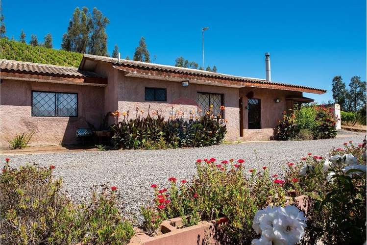 Terreno agrícola viñedos en casablanca venta