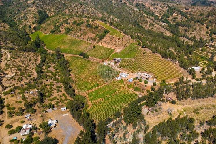 Terreno agrícola viñedos en casablanca venta