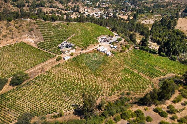 Terreno agrícola viñedos en casablanca venta