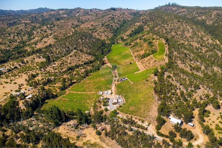 Terreno agrícola viñedos en casablanca venta
