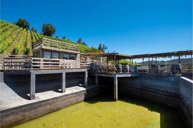 Terreno agrícola viñedos en casablanca venta