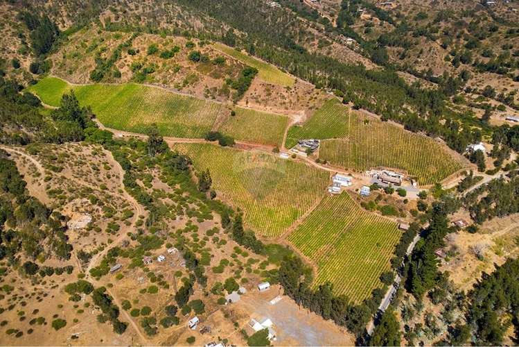 Terreno agrícola viñedos en casablanca venta
