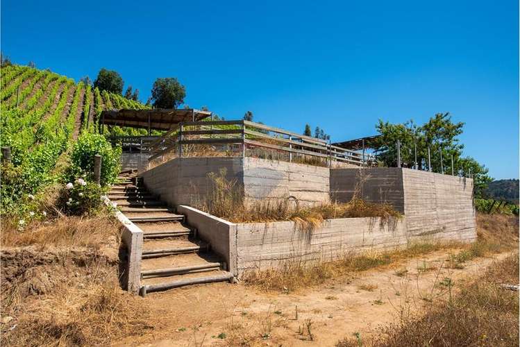 Terreno agrícola viñedos en casablanca venta