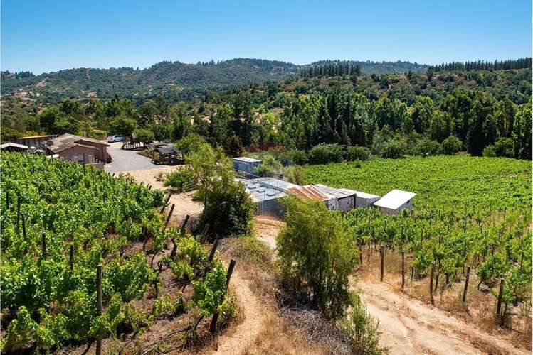 Terreno agrícola viñedos en casablanca venta