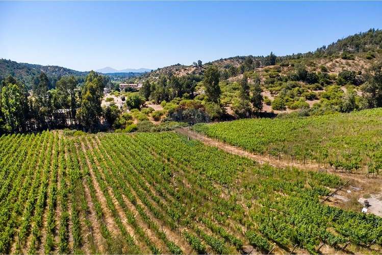 Terreno agrícola viñedos en casablanca venta