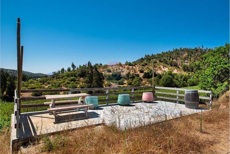 Terreno agrícola viñedos en casablanca venta
